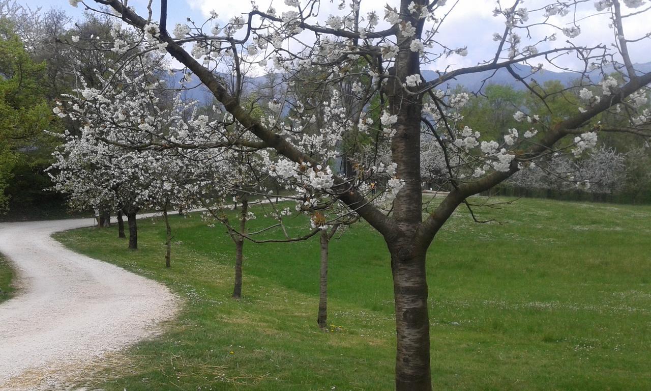 Albergo Rurale Parco Di San Floriano Polcenigo Exteriör bild