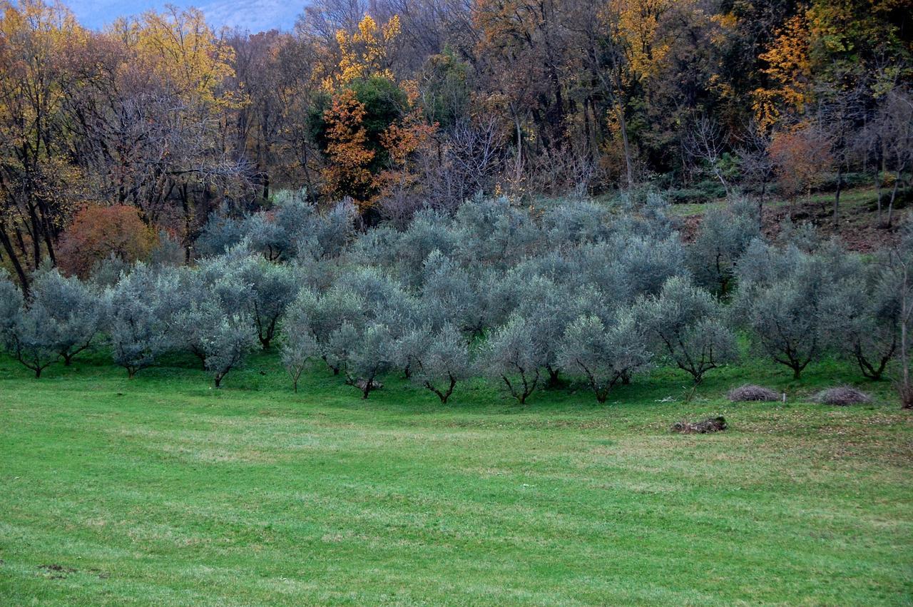 Albergo Rurale Parco Di San Floriano Polcenigo Exteriör bild